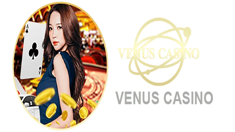 vv5 bet Informações básicas sobre o saguão do cassino Venus